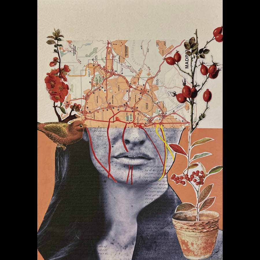 Womanhood collage by Narges Valibeigi