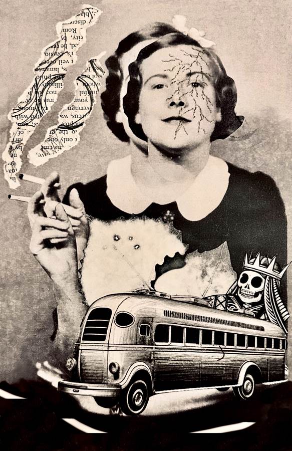 Womanhood collage by Narges Valibeigi