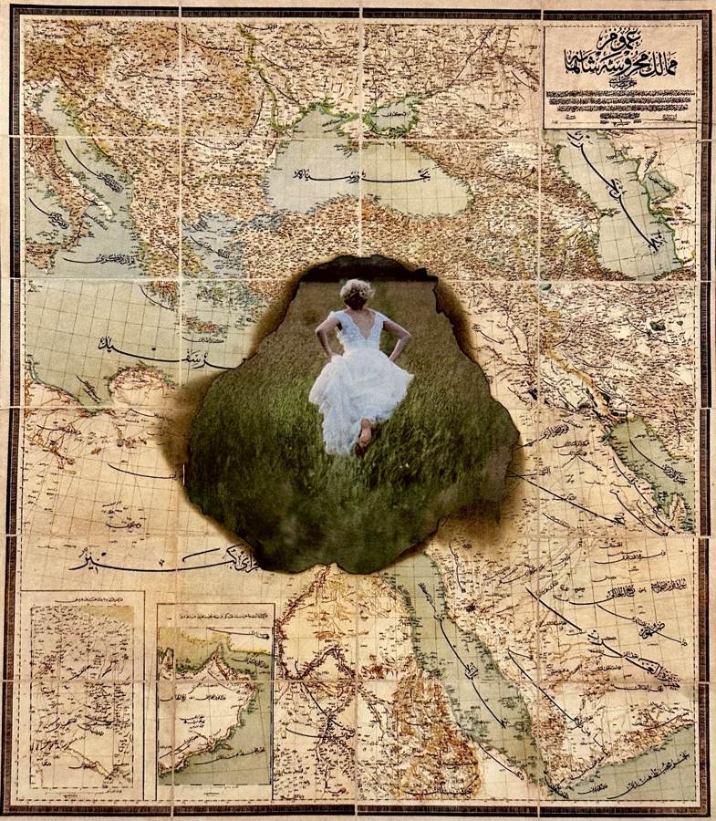 Losing the Roots collage by Narges Valibeigi